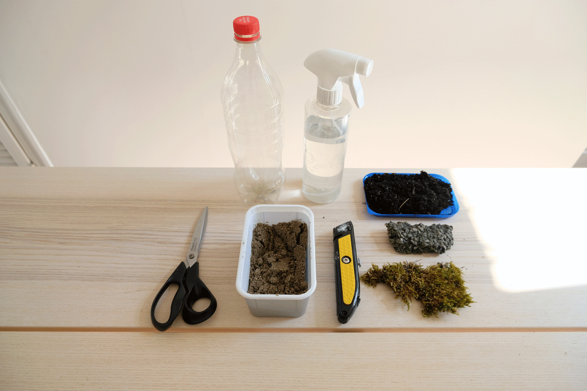 Build Your Own Terrarium GIF slow