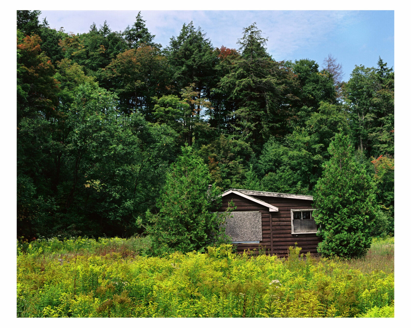 Mark Lewis, Rear Projection (Golden Rod), 2006. Film still courtesy of the artist.