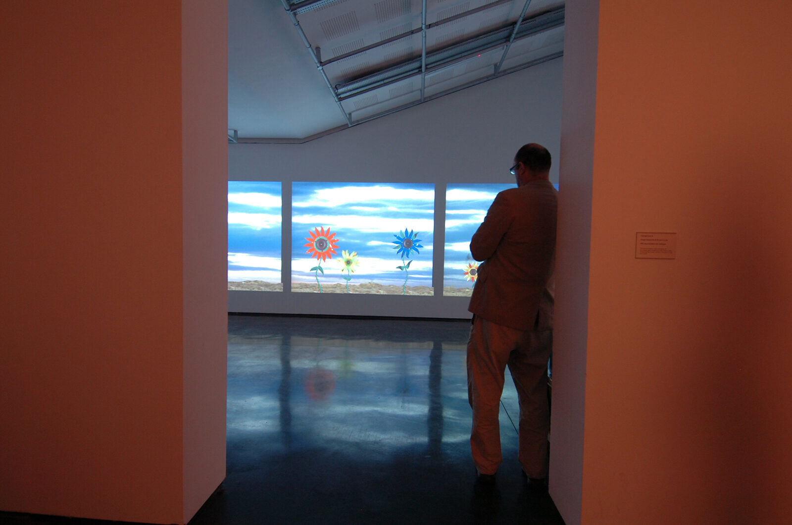 Lei Cox, Skies over FlowerField, 1998. Installation view at FACT.