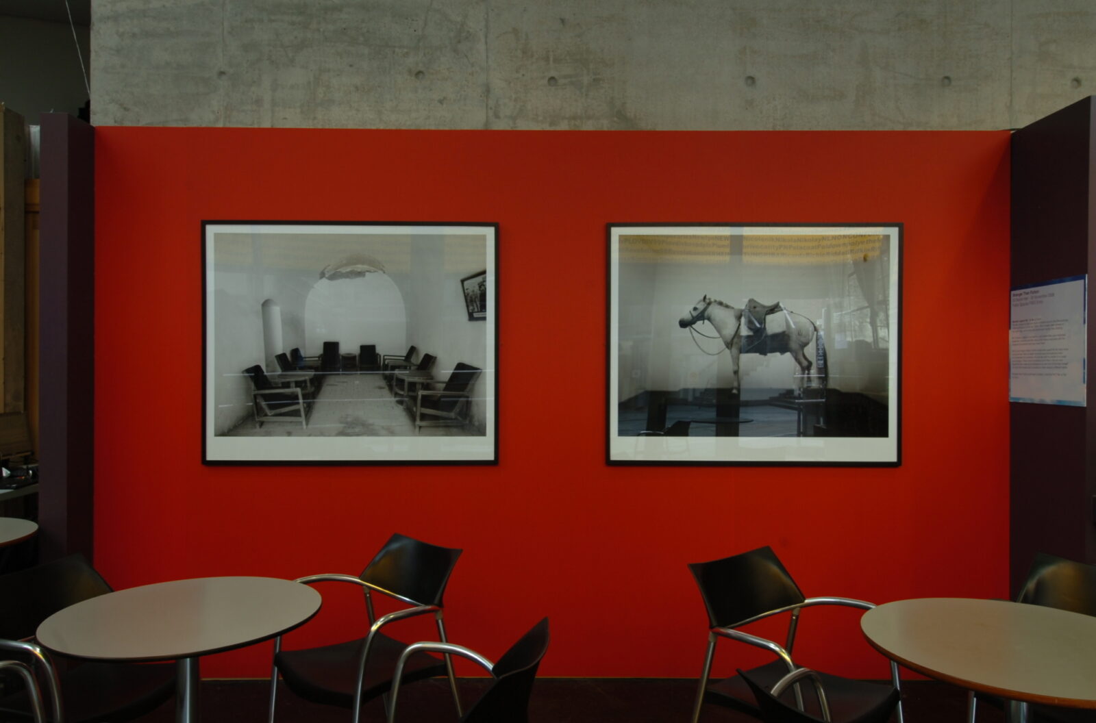 Muchen, Legend No 1 & No 2, 2007. Installation view at FACT. Photo by Adatabase.