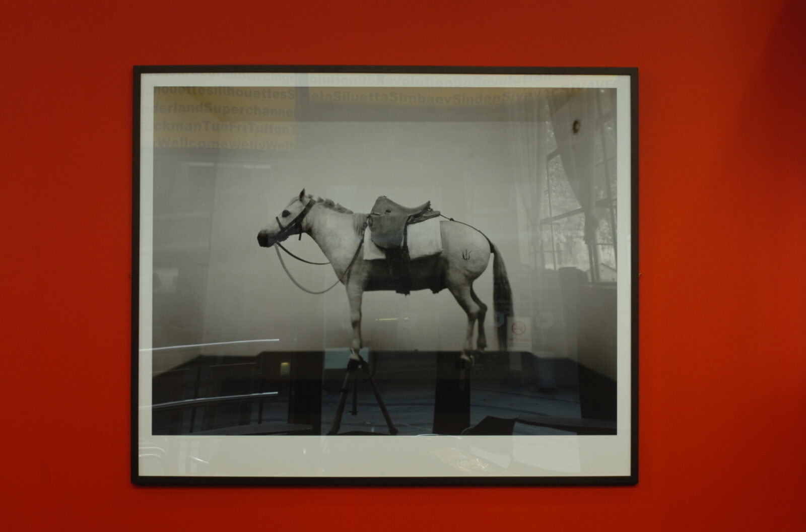Muchen, Legend No 1 & No 2, 2007. Installation view at FACT. Photo by Adatabase.