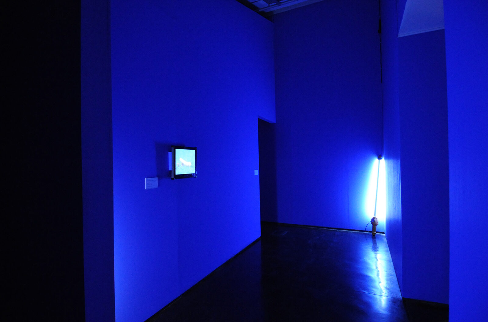 AL and AL, I don't want to leave my island, 2001. Installation view at FACT.