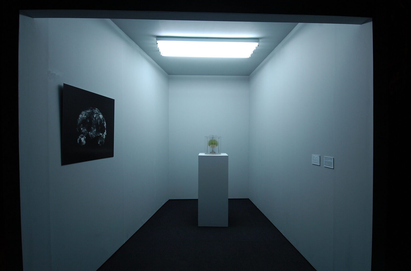 Jun Takita, Light, Only Light. Installation view at FACT.