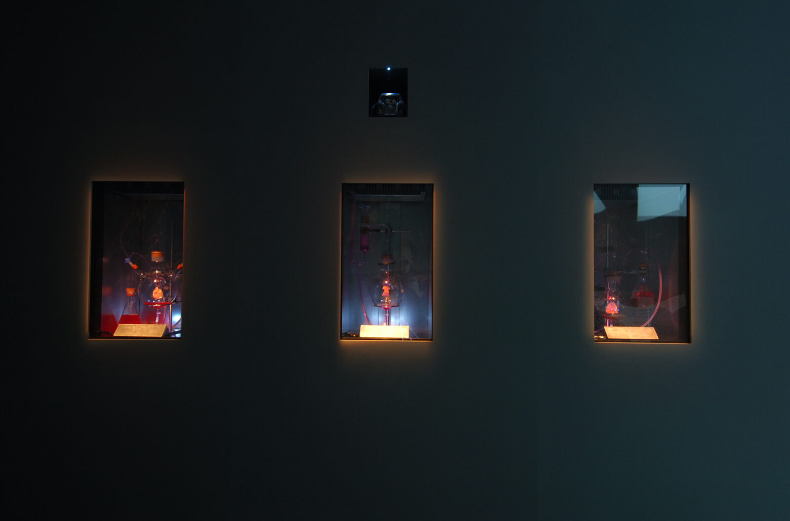 The Tissue Culture Art Project: Oron Catts And Lonat Zurr, Victimless Leather. Installation view at FACT.