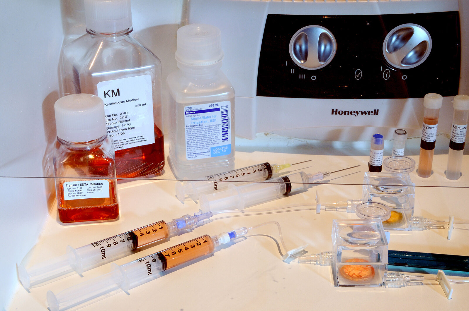 Julia Reodica, Hymnext Hymen Project. Installation view at FACT. Photo by Stephen King.