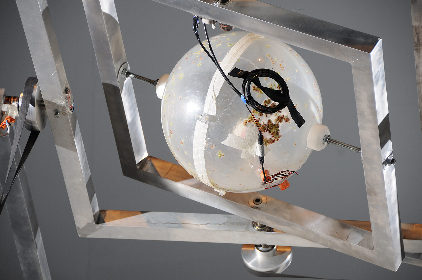 Zbigniew Oksiuta, Biological Habitat, Form 0108. Installation view at FACT. Photo by Stephen King.