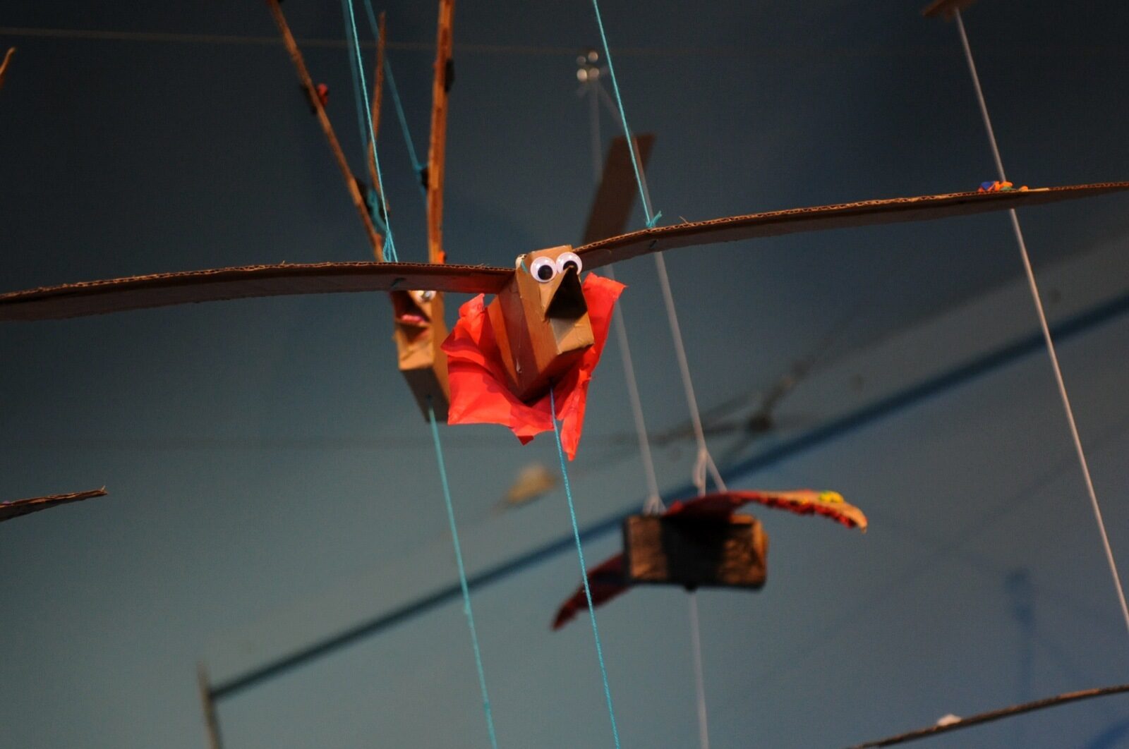 Flying Flappers, 2009.