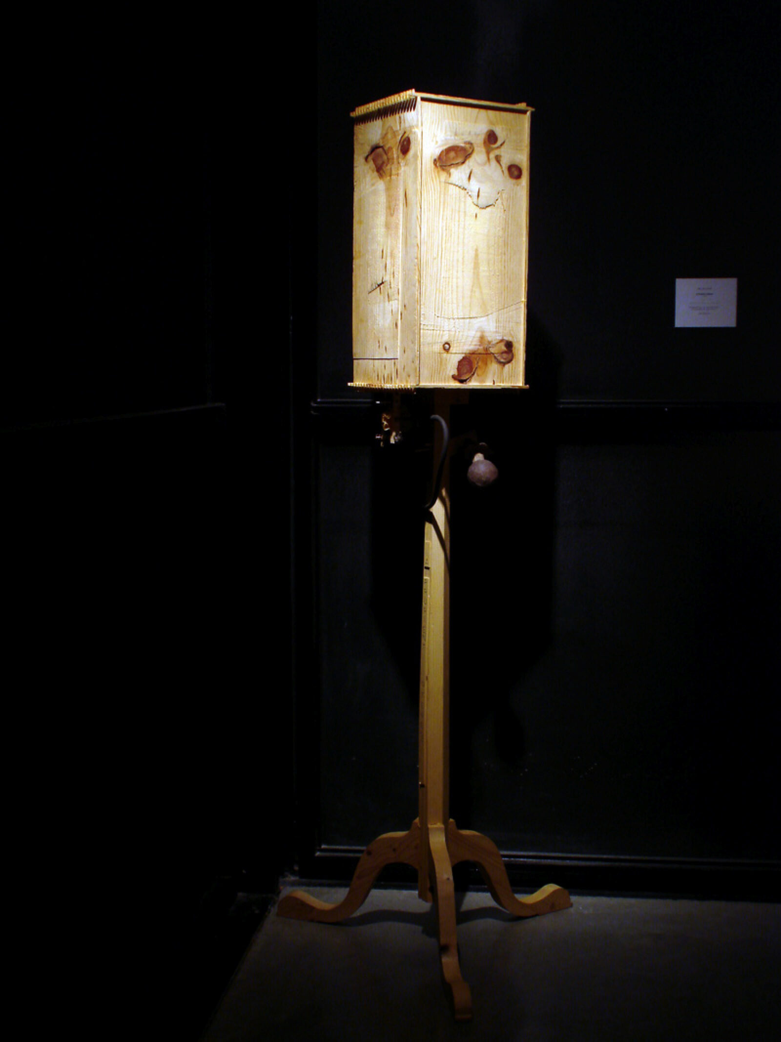 Bernie Lubell, A Prurient Interest, 1999. Installation view at FACT.