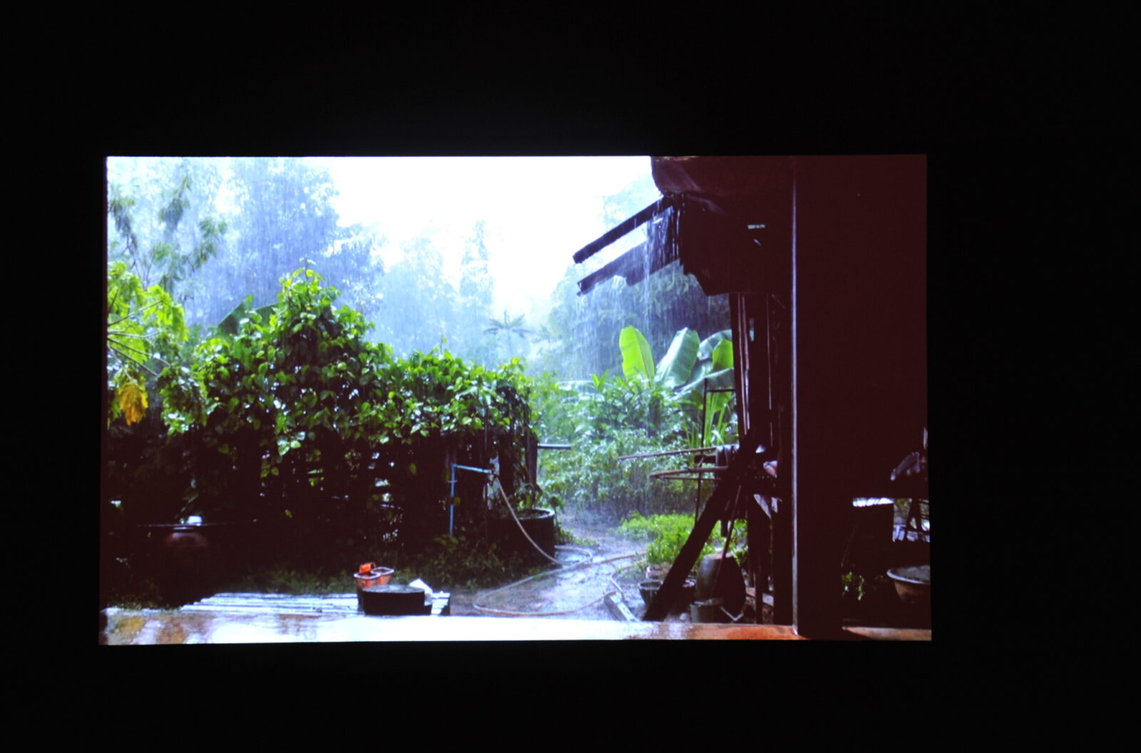 Apichatpong Weerasethakul, A Letter To Uncle Boonmee, 2009.