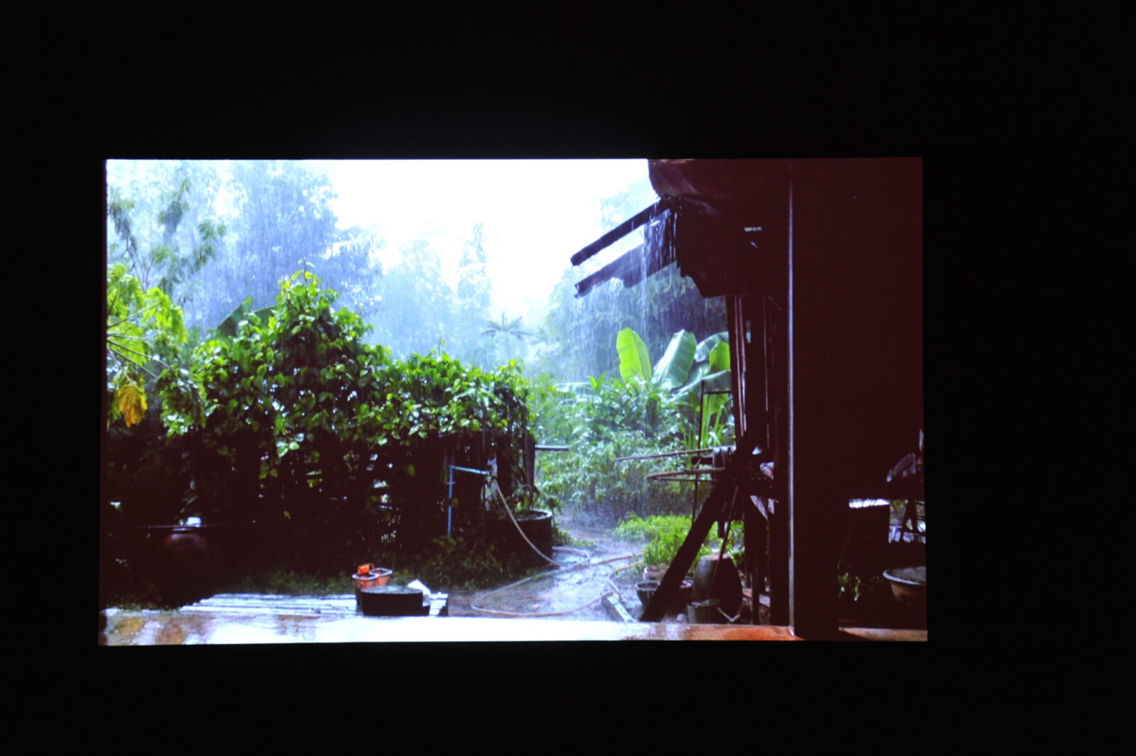 Apichatpong Weerasethakul, A Letter To Uncle Boonmee, 2009.