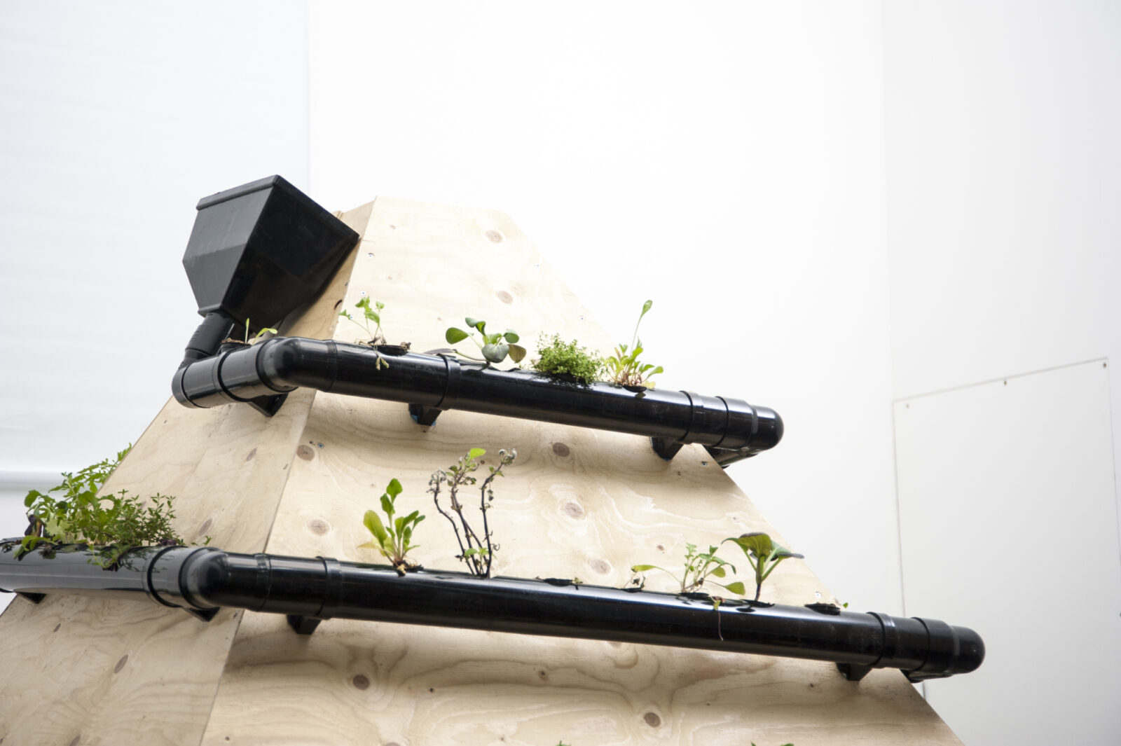 Rachel Rayns with the Raspberry Pi Foundation, Neurotic Machines, 2015. Photo by Stephen King.
