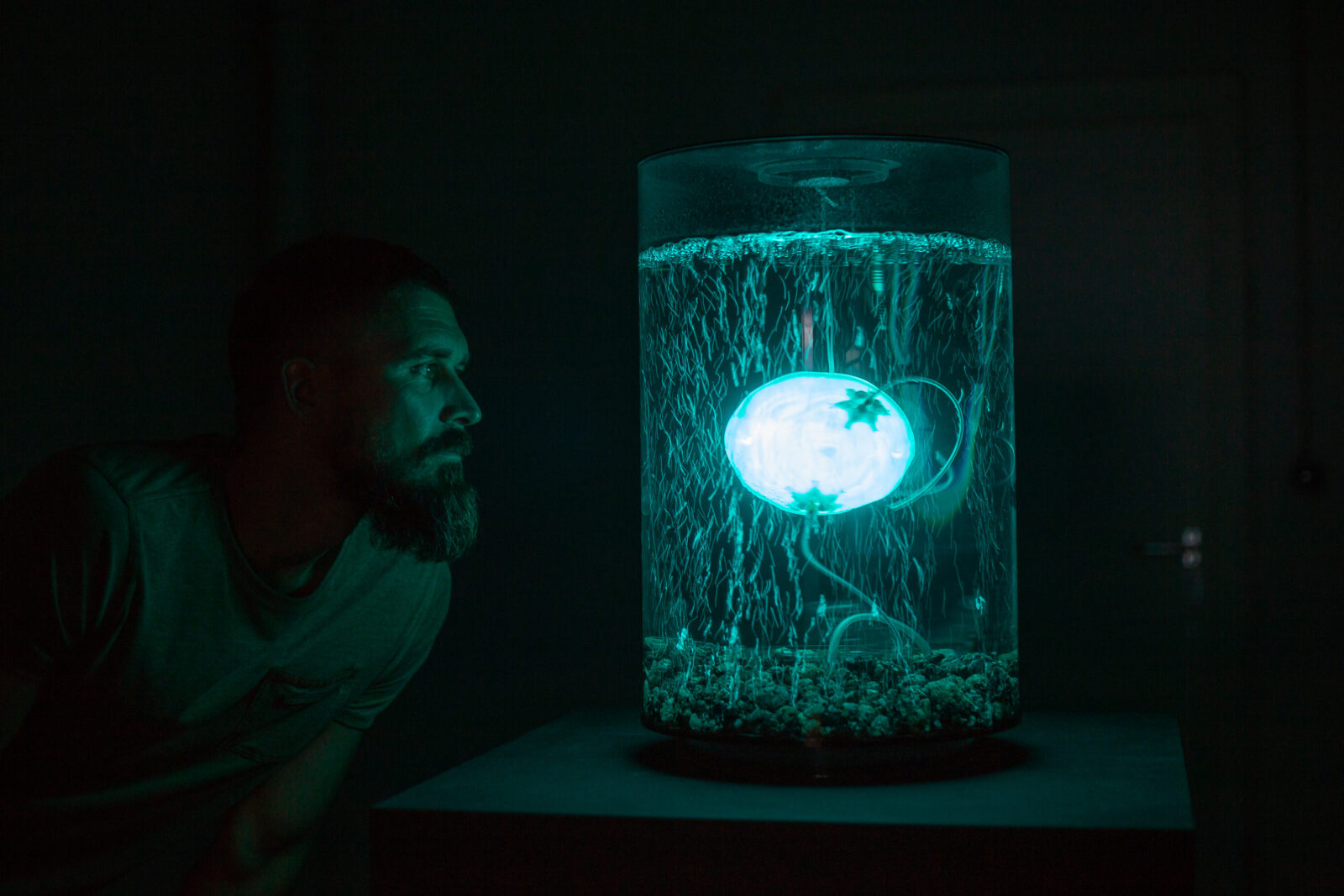 Anna Dumitriu and Alex May ﻿in collaboration with scientist Amanda Wilson Imperial College, Archaea Bot at Ars Electronica, 2018. Photo by Vanessa Graf.
