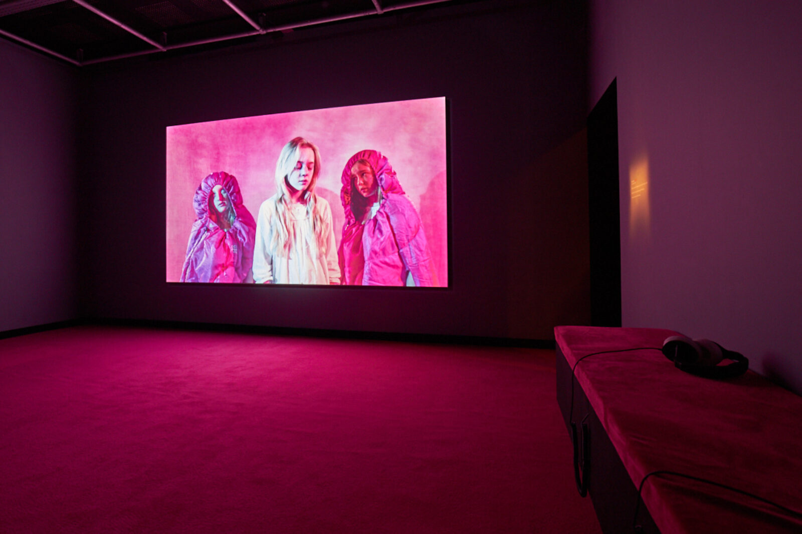 Marianna Simnett, Blood, 2015. Installation view at FACT 2019. Photo: Rob Battersby