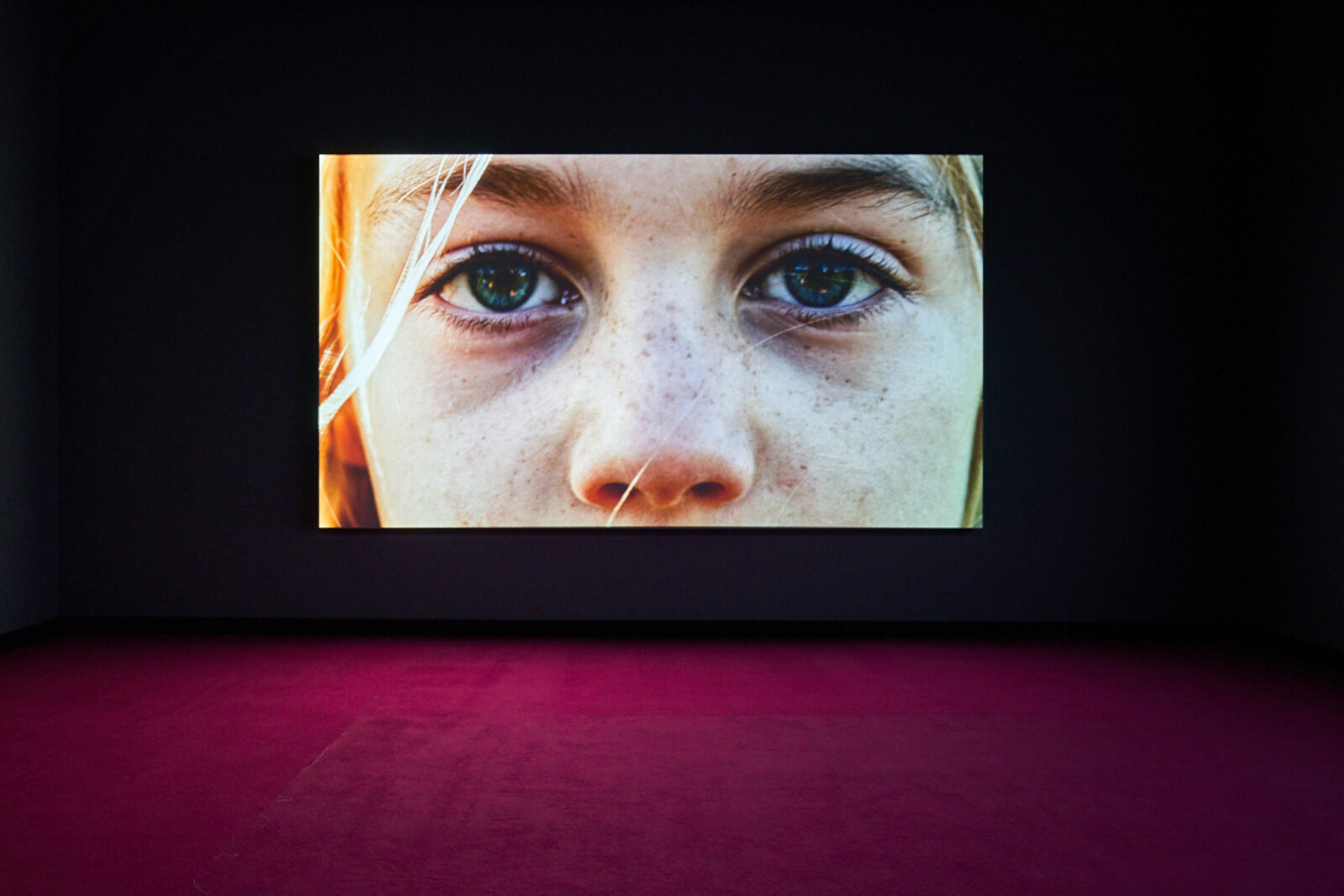 Marianna Simnett, The Udder, 2014. Installation view at FACT 2019. Photo by Rob Battersby.