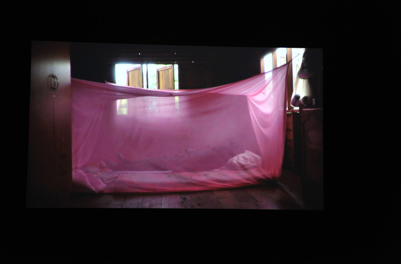 Apichatpong Weerasethakul, A Letter To Uncle Boonmee, 2009.