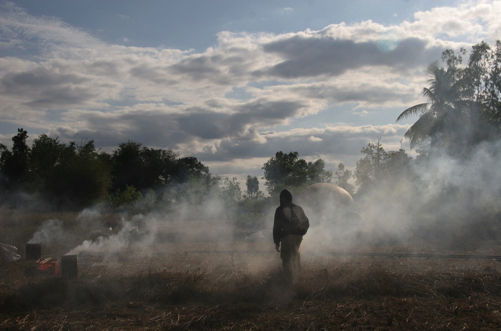 Apichatpong Weerasethakul and Modern Dog, Primitive (I'm Still Breathing), 2009. Image courtesy of the artist.