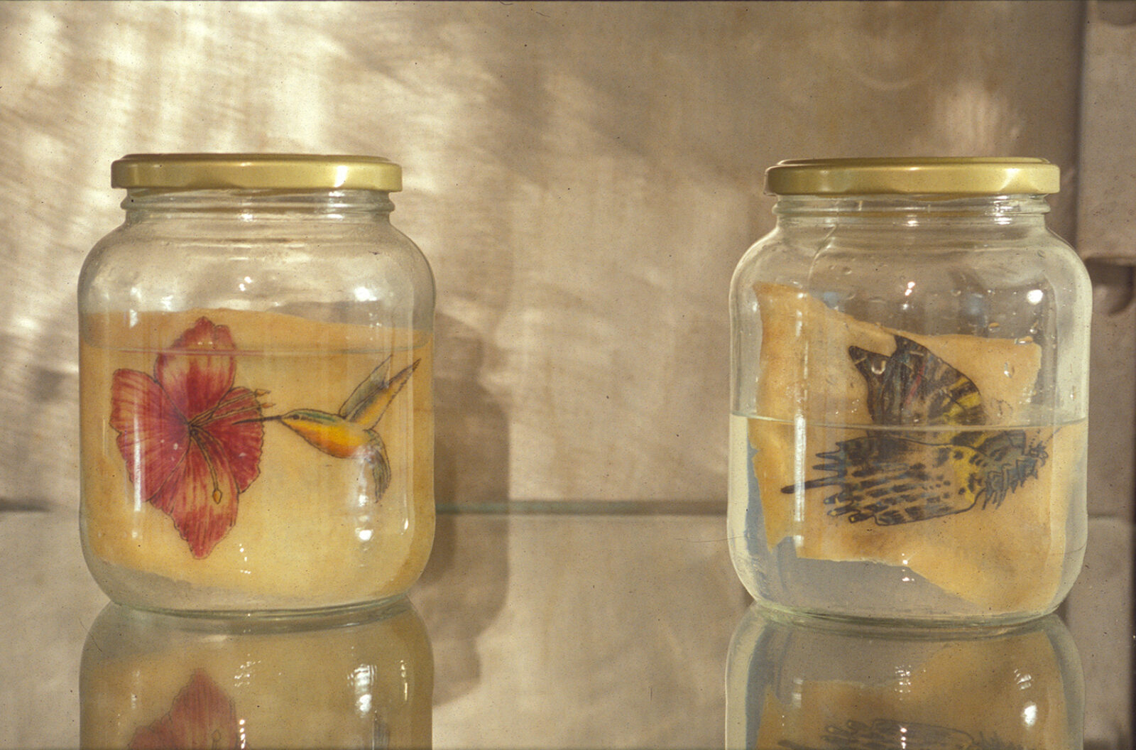 Art Orienté Objet Marion Lavel Jeantet Benoît Mangin, Artists Skin Culture Culture De Peaux Dartistes Roadkill Coat. Installation view at FACT.
