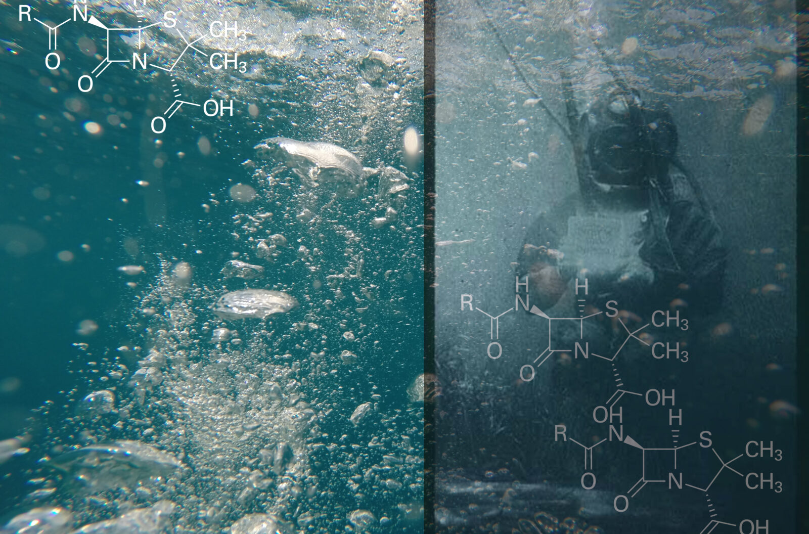 Robertina Sebjanic and Gjino Sutic, Aqua forensic. Photo courtesy of the artist.