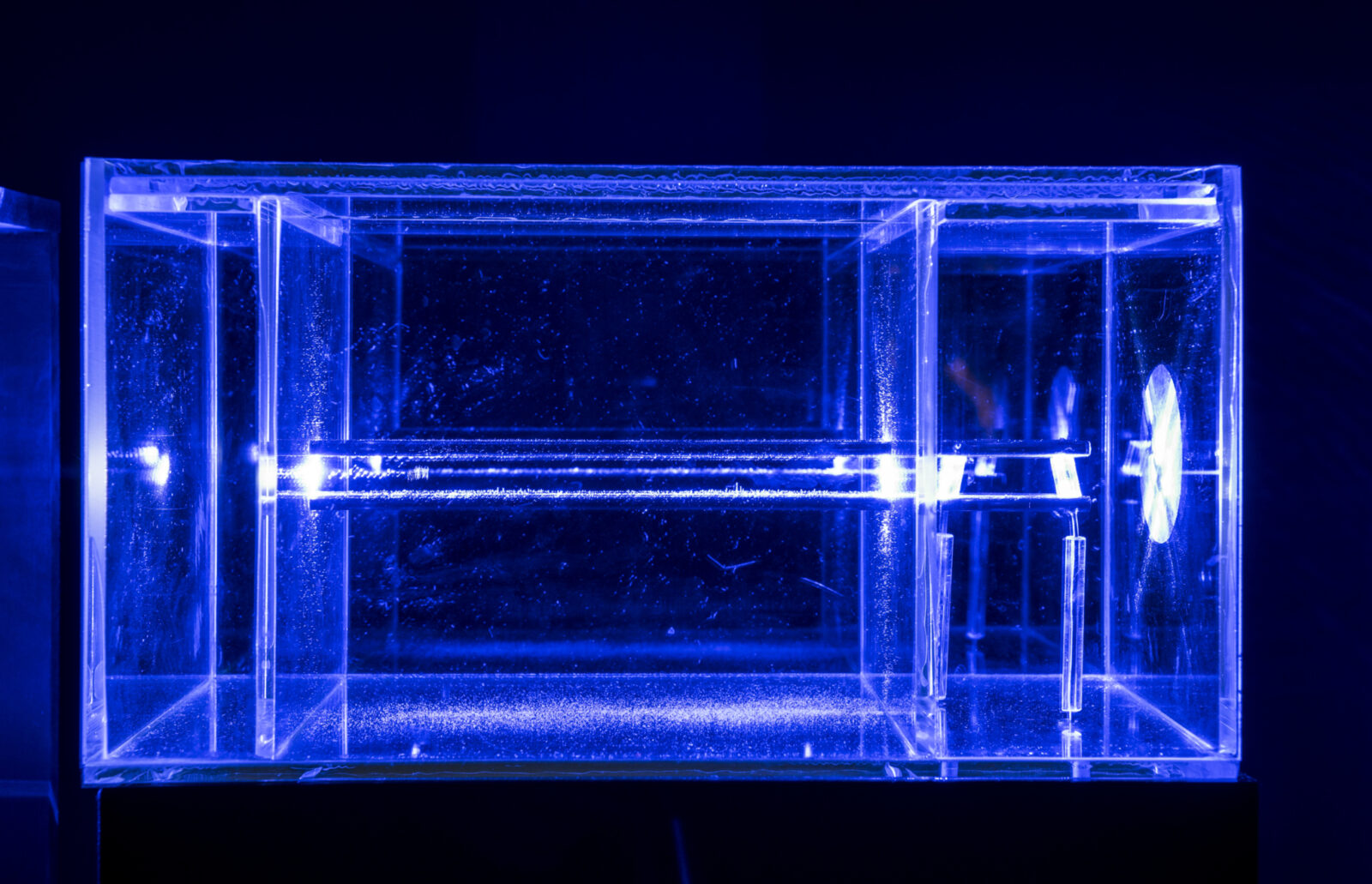 Evelina Domnitch & Dmitry Gelfand, Quantum Lattice, 2016. Photo by Stephjen King.