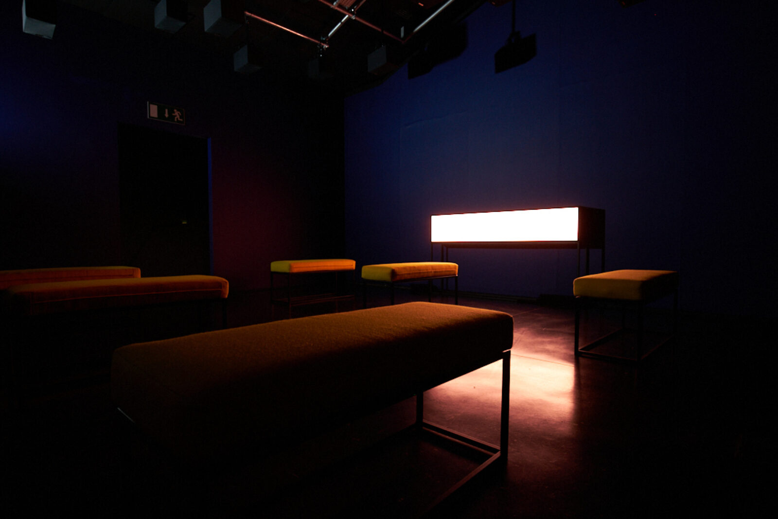 Alexandra Daisy Ginsberg Machine Auguries 2019 Image by Rob Battersby Installation view at FACT 5