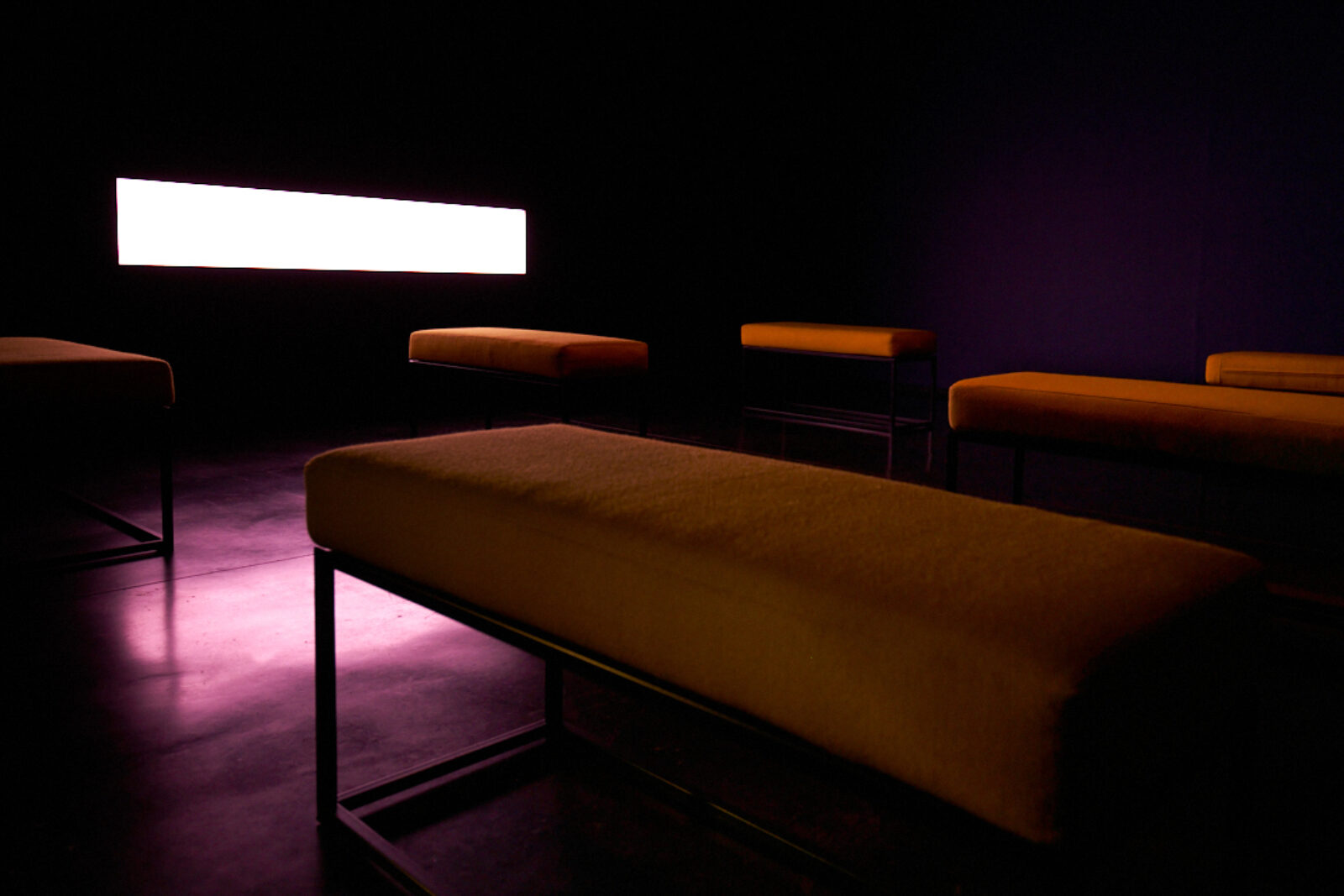 Alexandra Daisy Ginsberg Machine Auguries 2019 Image by Rob Battersby Installation view at FACT