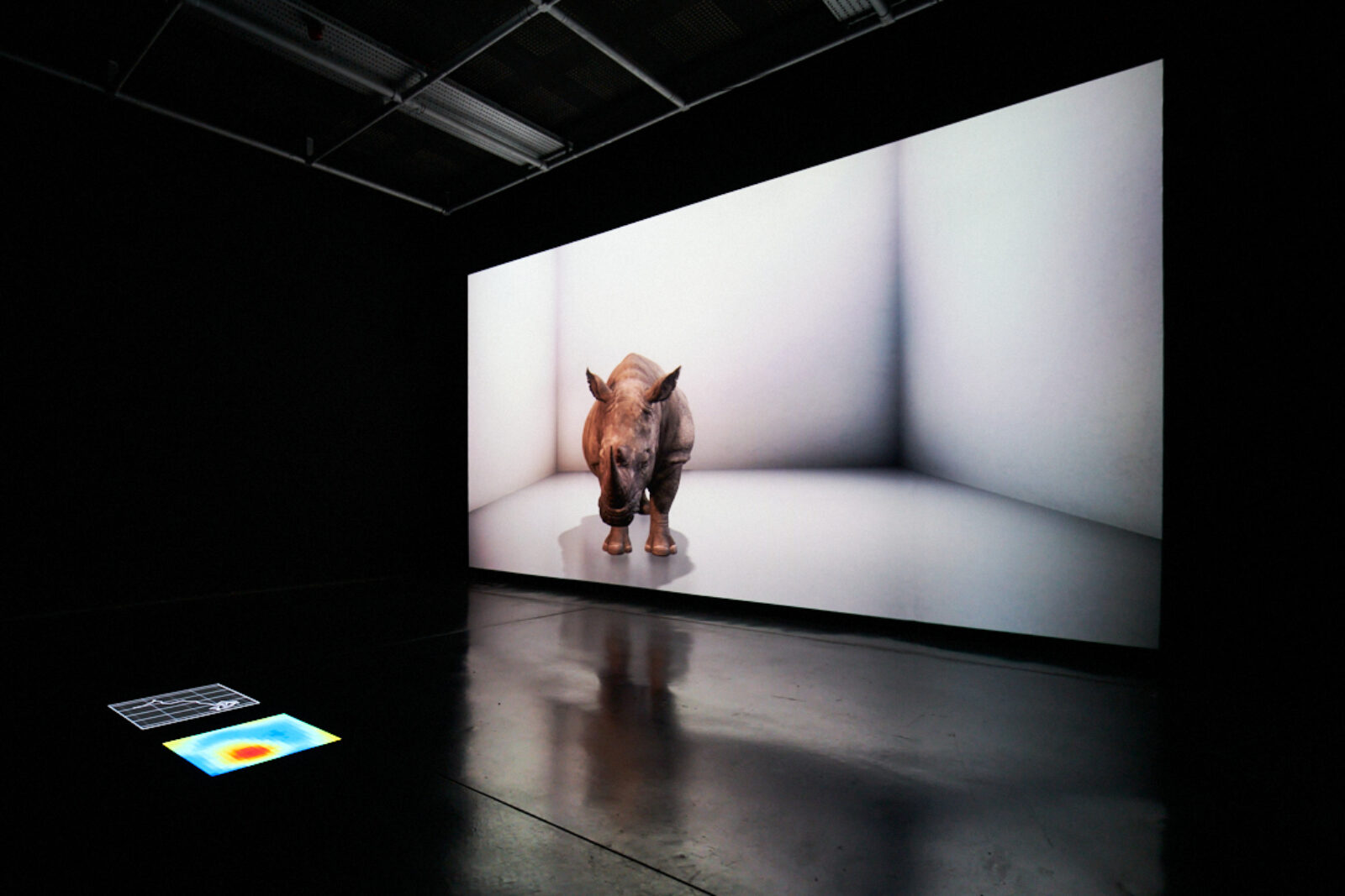 Alexandra Daisy Ginsberg The Substitute 2019 Image by Rob Battersby Installation view at FACT 4