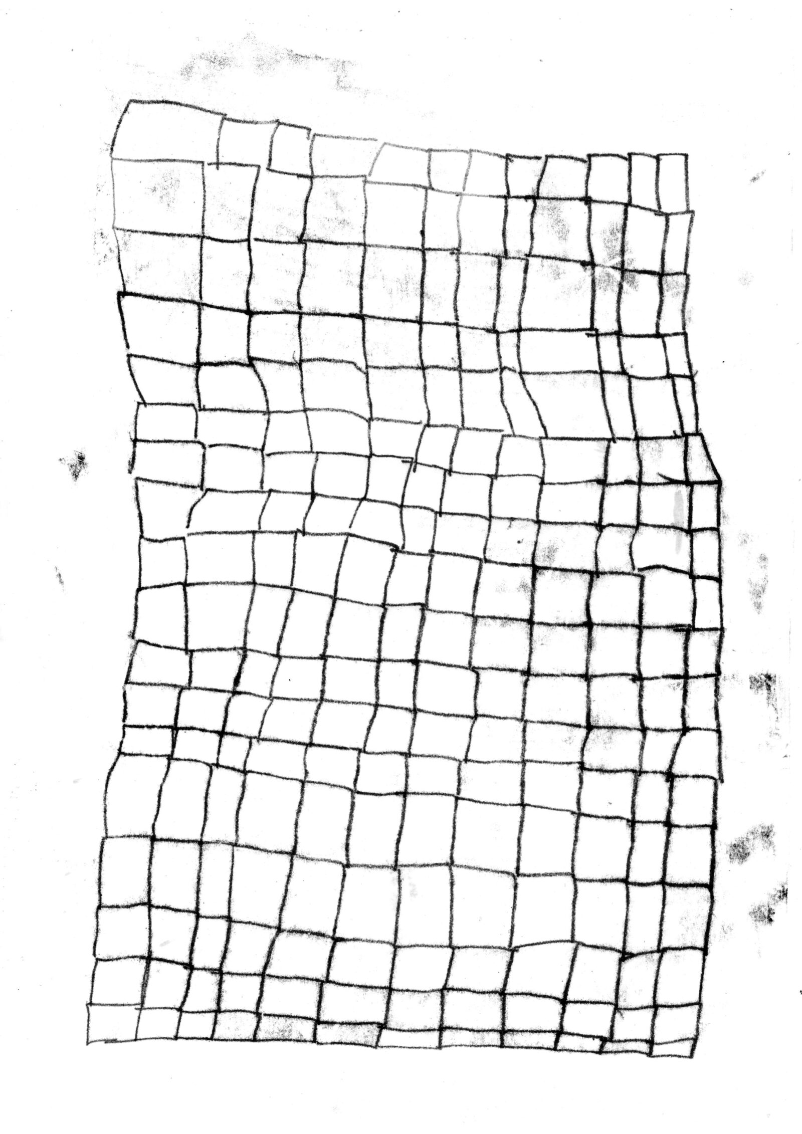 Aliyah Hussain Native Tongue monoprint net