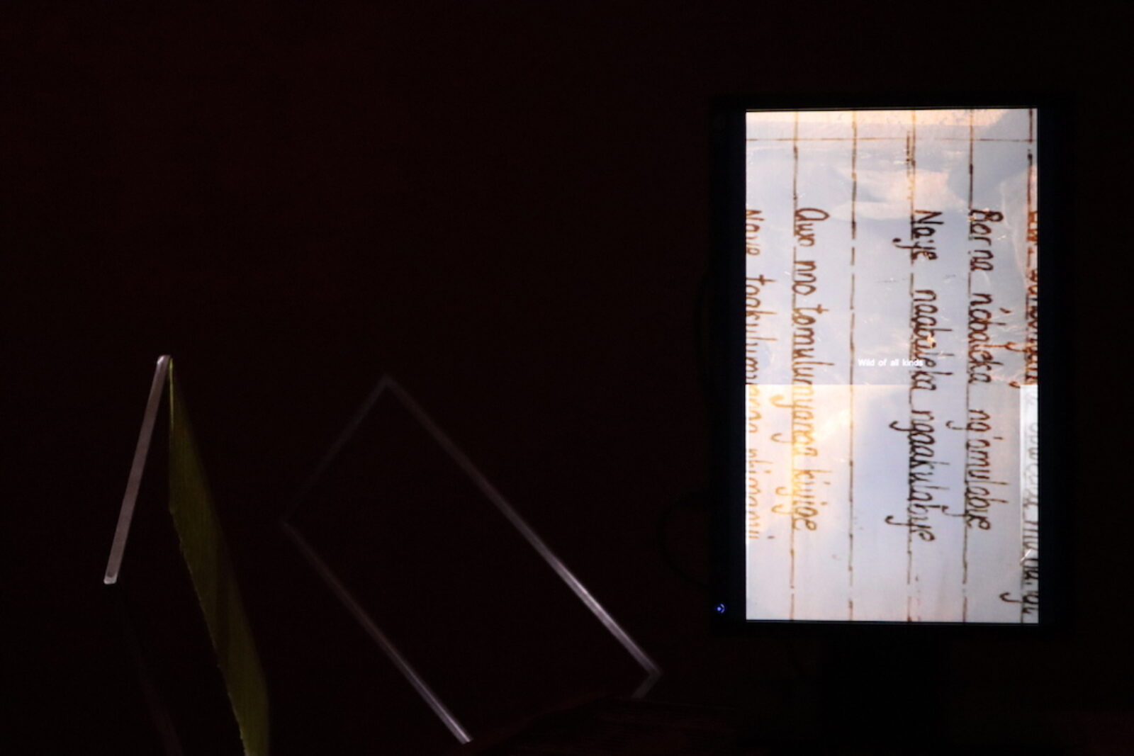Ivy Kalungi, New Trail, Old Stories (2019). Installation view at OUTPUT Gallery.