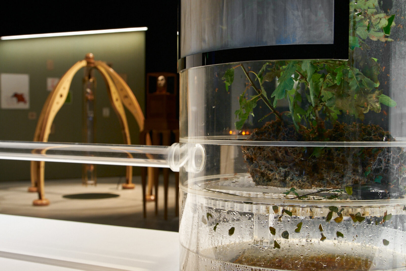 Kuai Shen Ohm1gas 2012 Image by Rob Battersby Installation view at FACT 6