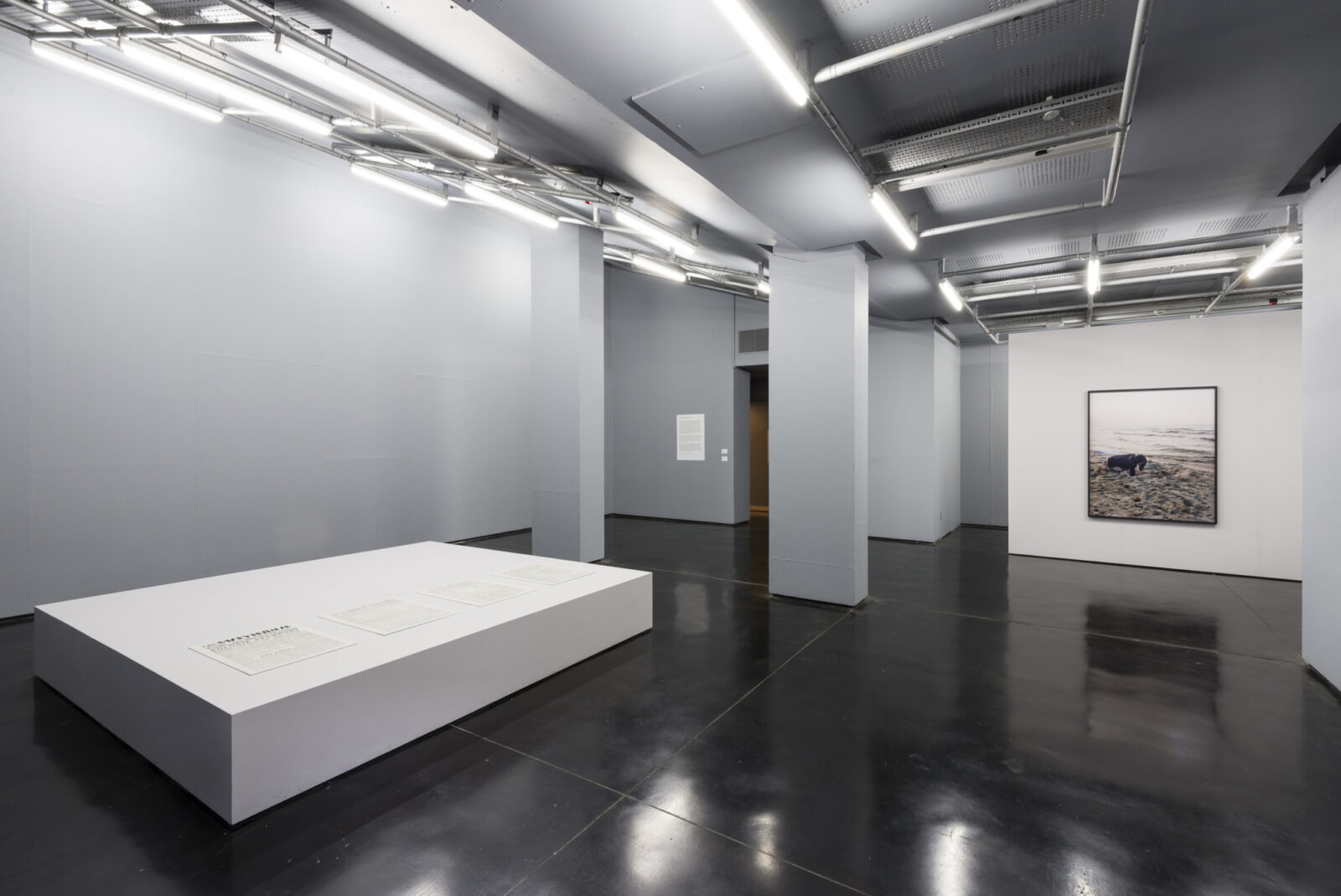 Sharon Lockhart Untitled 2014 And Milena De¸bki 2014 2014  Roger Sinek  50Cm