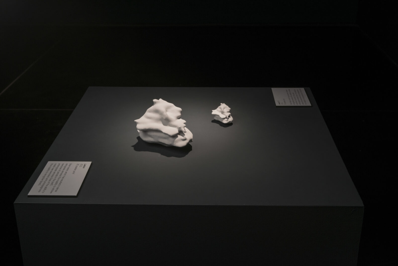 Shona Illingworth: The Amnesia Museum, FACT, 2015. Photo by Jon Barraclough