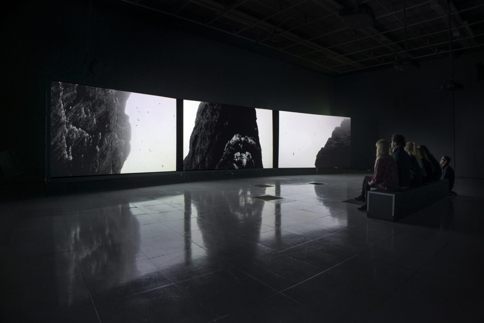 Shona Illingworth: Lesions in the Landscape, FACT, 2015. Photo by Jon Barraclough