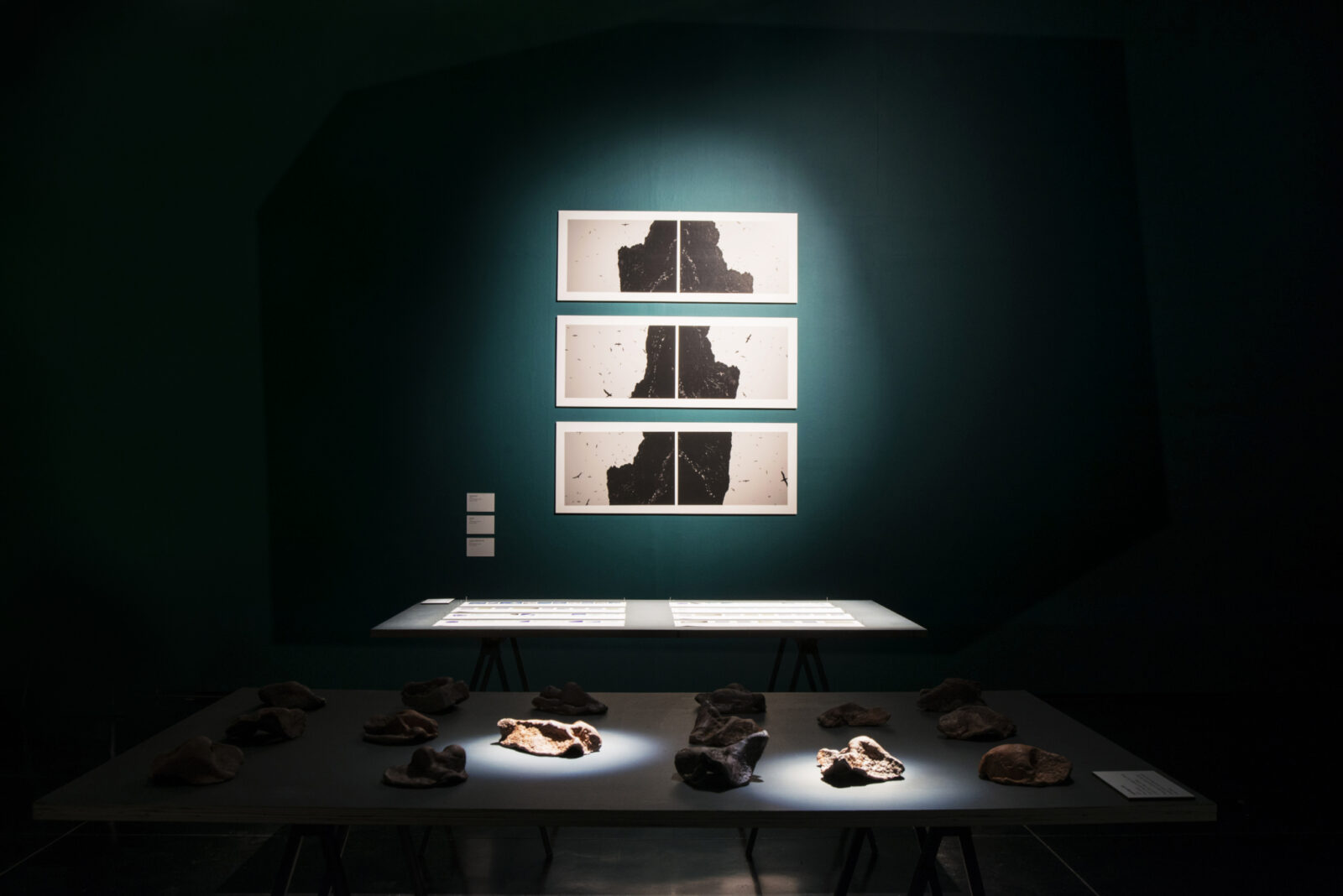 Shona Illingworth: The Amnesia Museum, FACT, 2015. Photo by Jon Barraclough