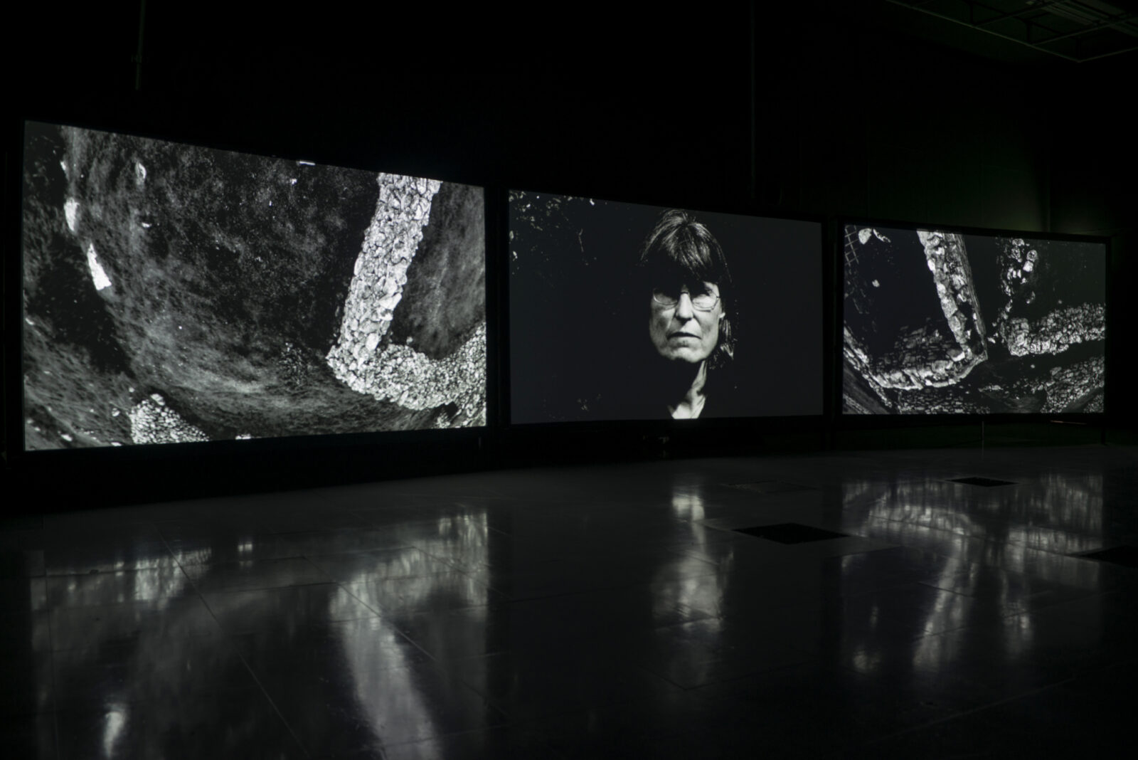 Shona Illingworth: Lesions in the Landscape, FACT, 2015. Photo by Jon Barraclough