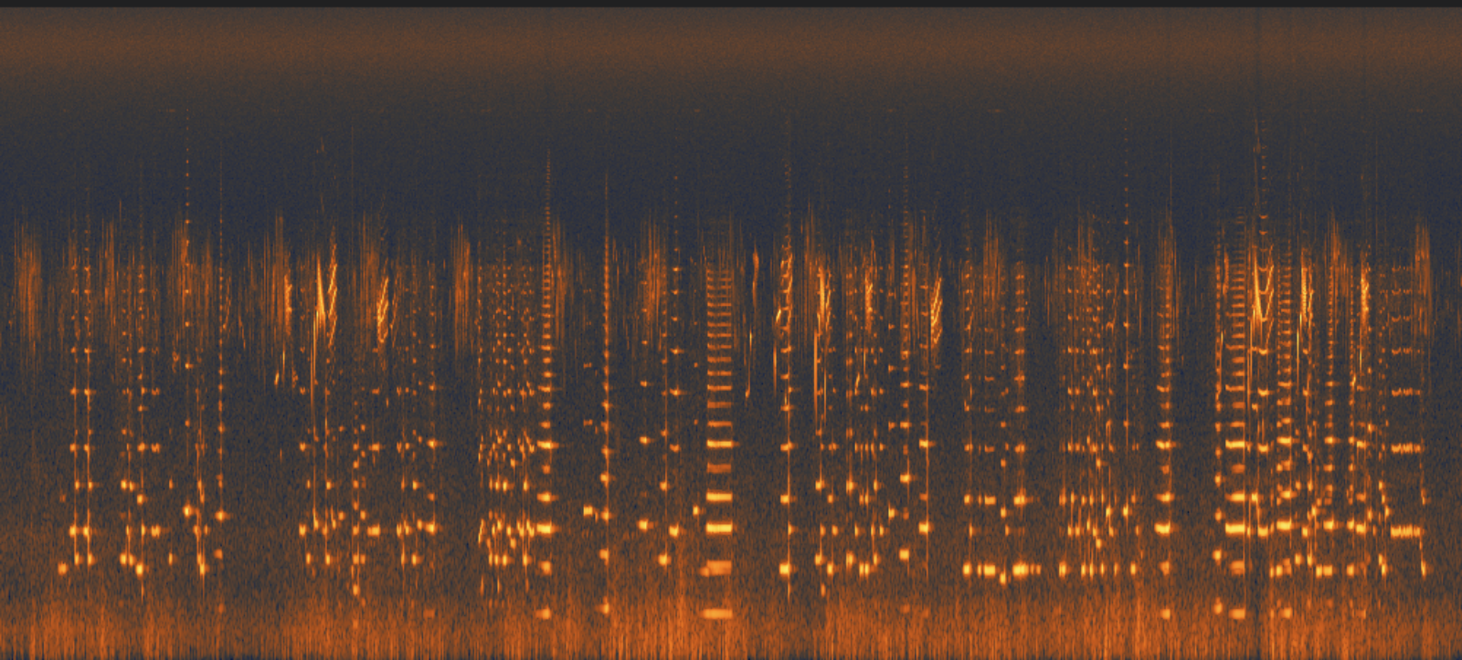 Spectrographic image of the audio with saxophone Image courtesy of the artists