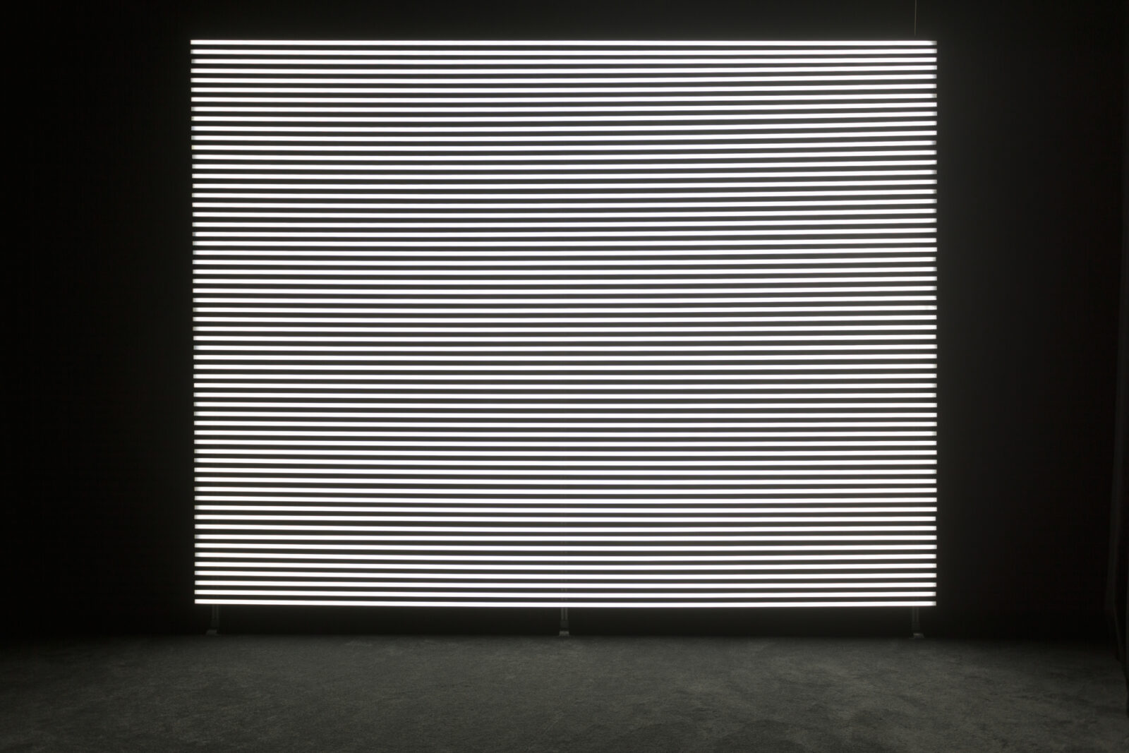 Marianna Simnett, Faint with Light, 2016, installation view, Zabludowicz Collection, 2018. Photo: Tim Bowditch. Courtesy of the artist and Zabludowicz Collection.