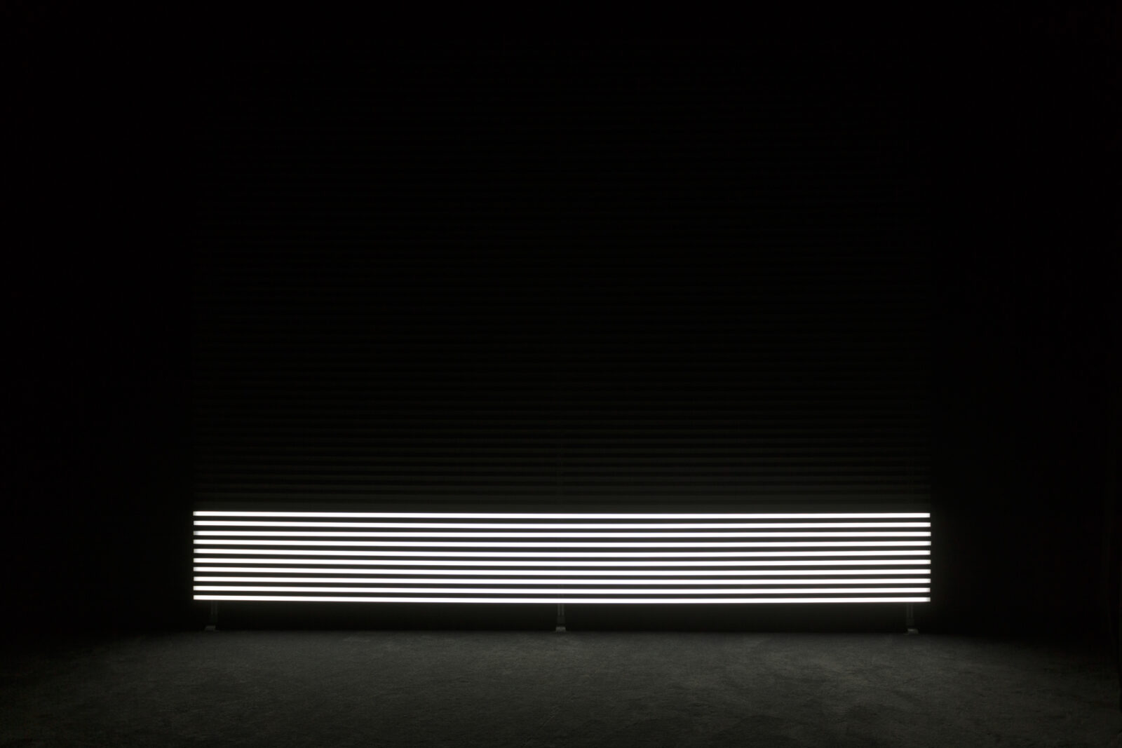 Marianna Simnett, Faint with Light, 2016, installation view, Zabludowicz Collection, 2018. Photo: Tim Bowditch. Courtesy of the artist and Zabludowicz Collection.