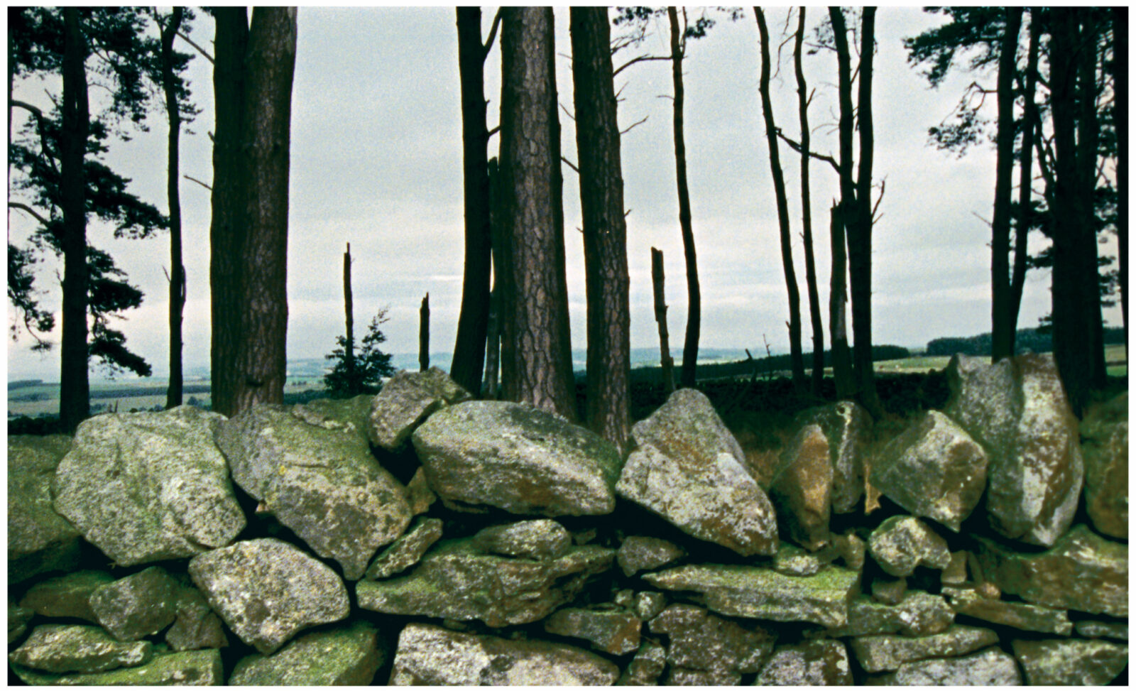 Mark Lewis, Northumberland, 2005. Film still courtesy of the artist.