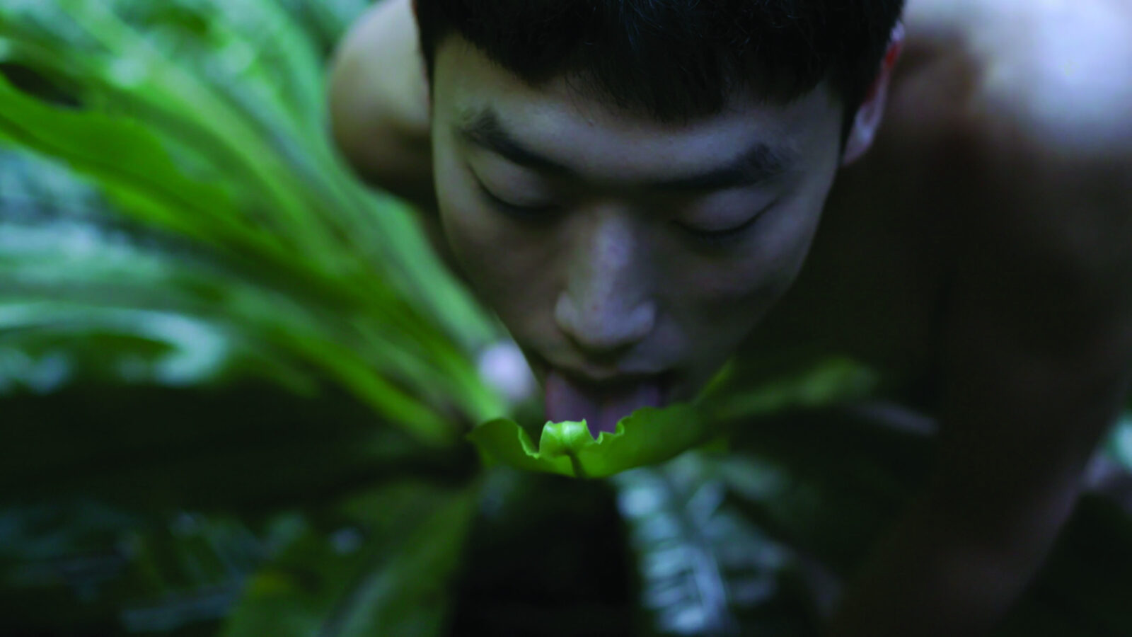 Zheng bo pteridophilia 2 film still 2018 1