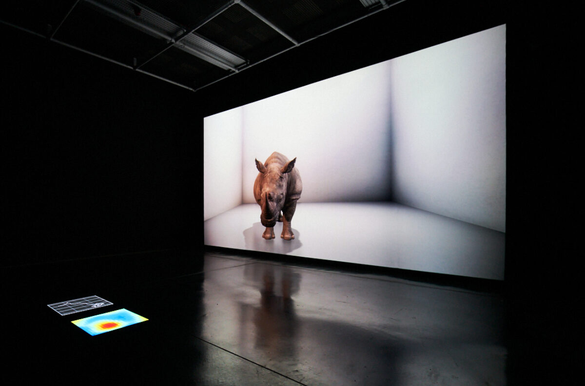 Alexandra Daisy Ginsberg The Substitute 2019 Image by Rob Battersby Installation view at FACT 4