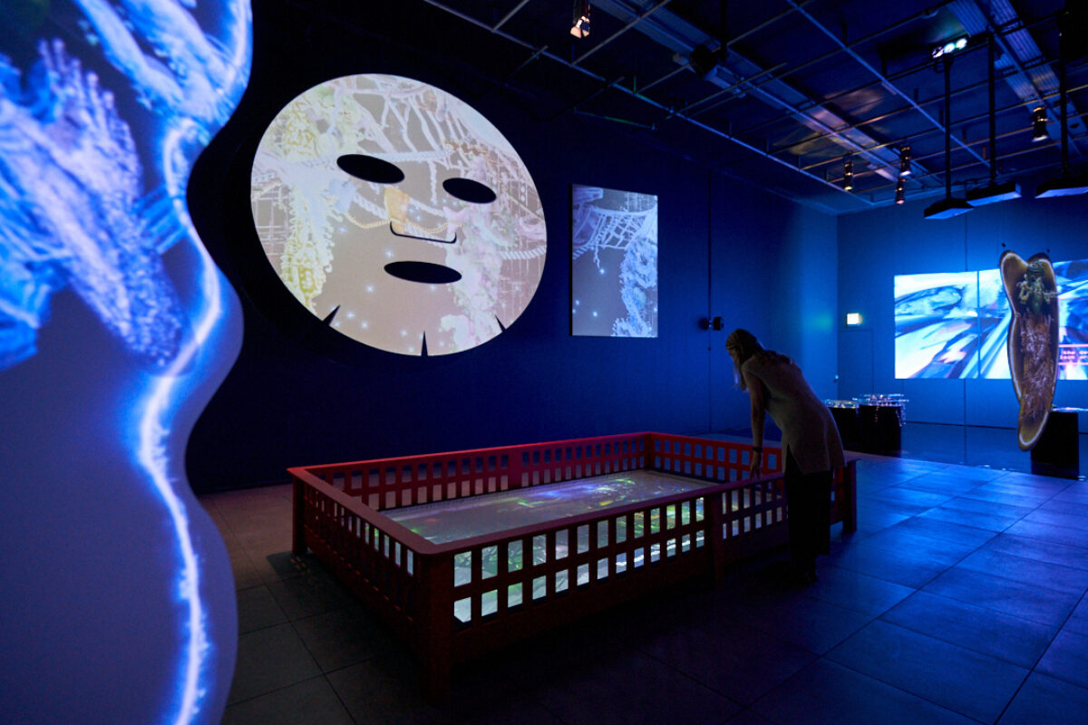 FACT My Garden My Sanctuary July 2022 Rob Battersby 5