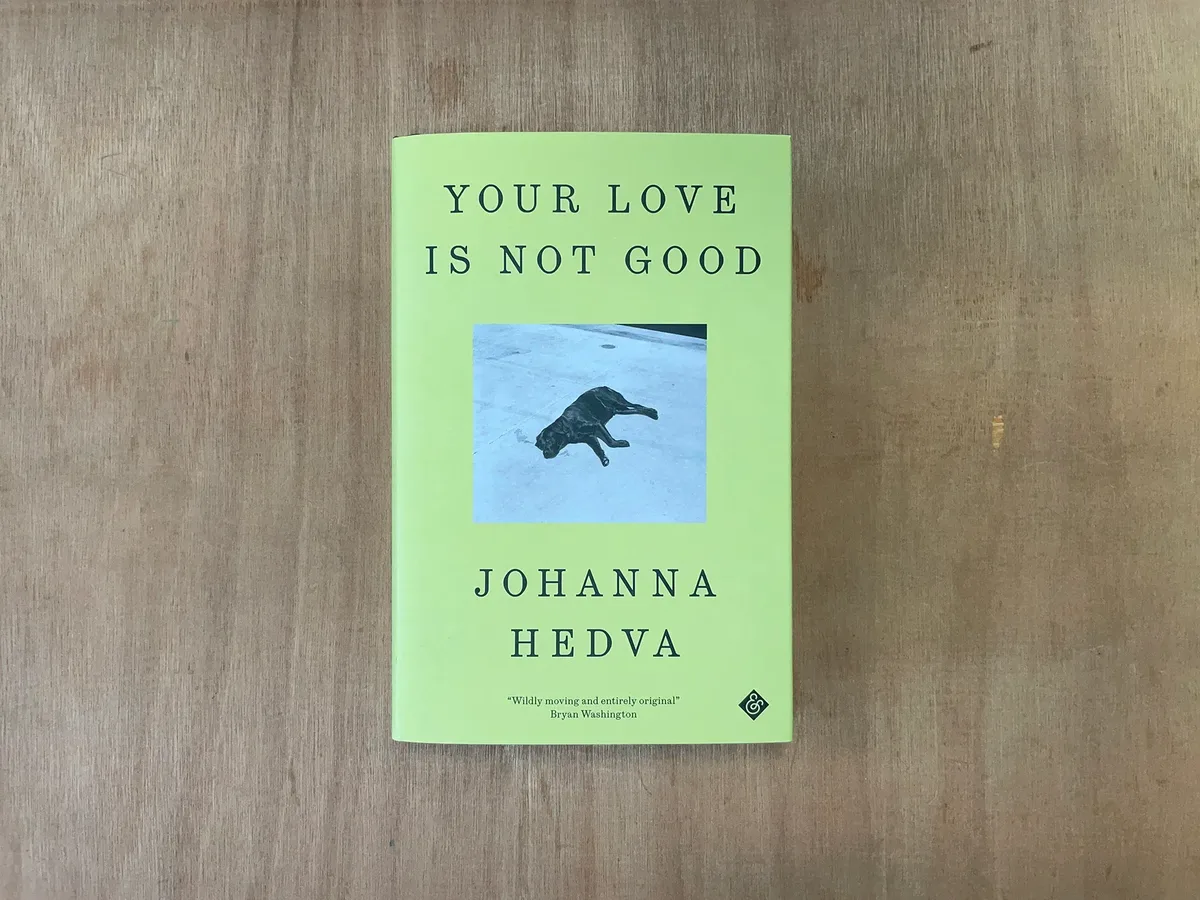 Johanna Hedva Your Love Is Not Good