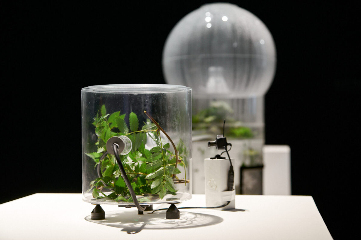 Kuai Shen Ohm1gas 2012 Image by Rob Battersby Installation view at FACT 3 jpg