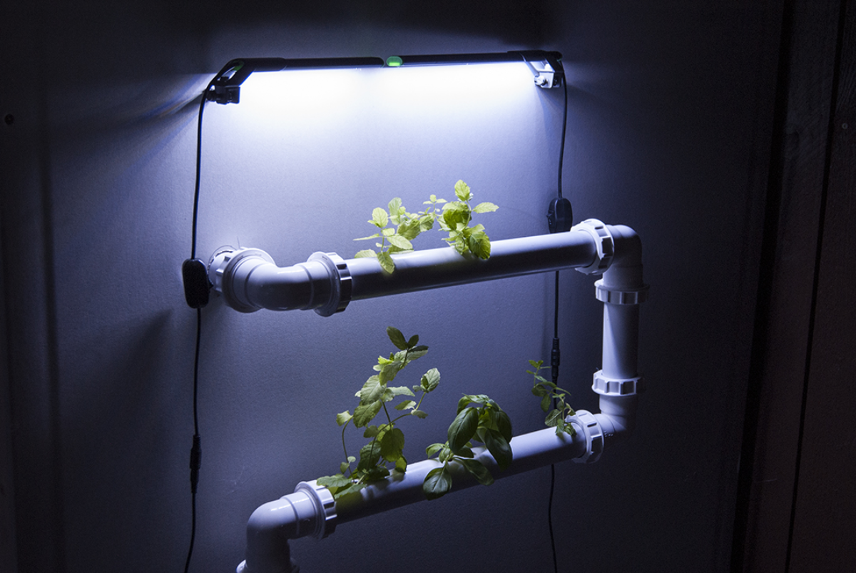 Mesocosm The Trophy Room Photo Alexander J Croft 1