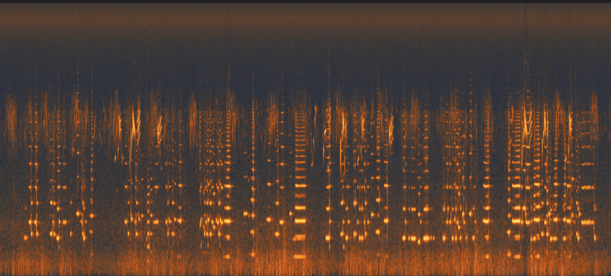 Spectrographic image of the audio with saxophone Image courtesy of the artists
