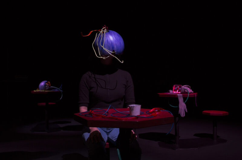 Anna Bunting Branch Warm Worlds and Otherwise installation view at Wysing Arts Centre 2019 Photo by Wilf Speller