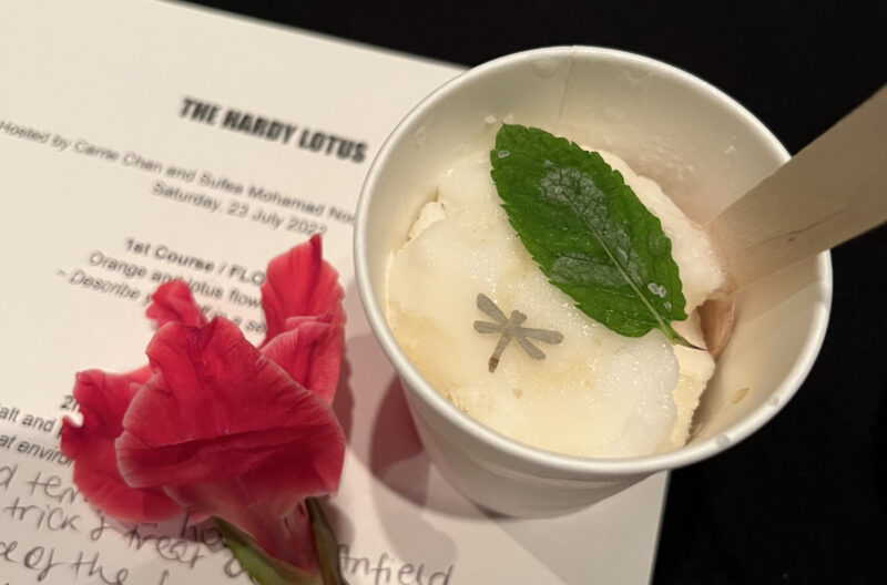 The Hardy Lotus