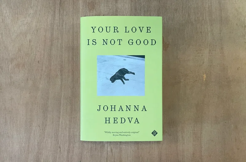 Johanna Hedva Your Love Is Not Good