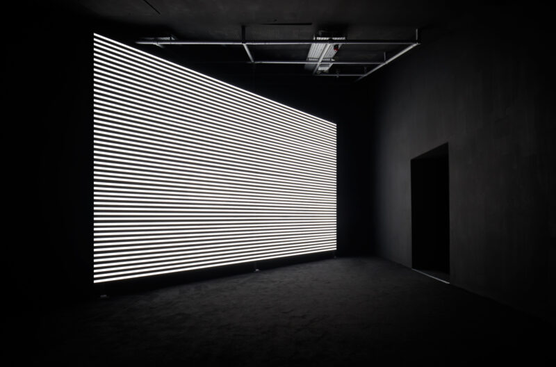 Marianna Simnett, Faint with Light, 2016. Installation view at FACT 2019. Photo: Rob Battersby.