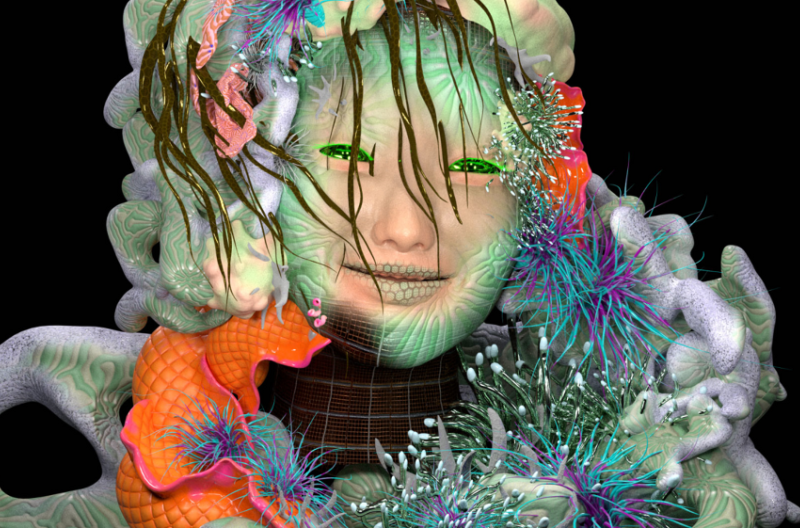 Yaloo Homo Paulinella 2020